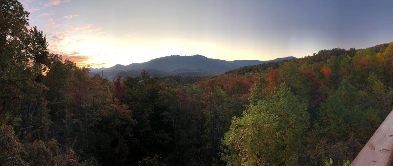 Heavenly View - Bear Themed Cabin, Hottub, Dog-Friendly, Near ガトリンバーグ エクステリア 写真