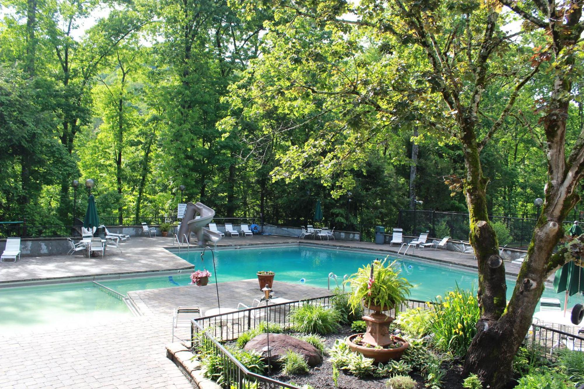 Heavenly View - Bear Themed Cabin, Hottub, Dog-Friendly, Near ガトリンバーグ エクステリア 写真