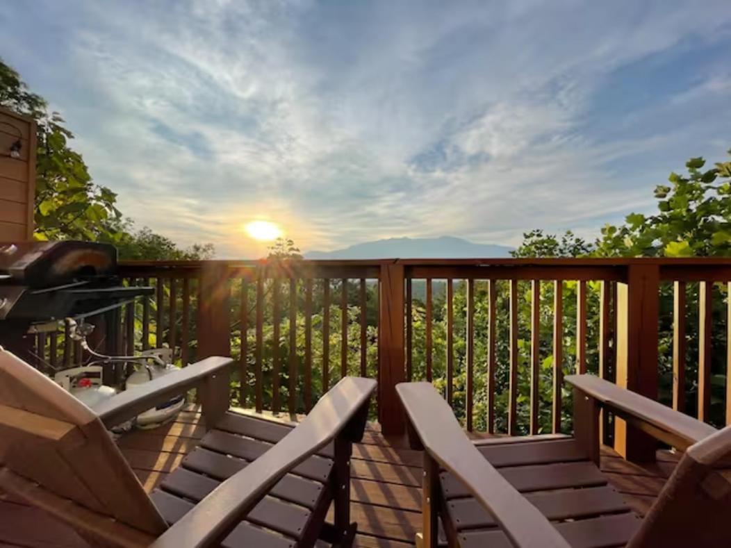 Heavenly View - Bear Themed Cabin, Hottub, Dog-Friendly, Near ガトリンバーグ エクステリア 写真