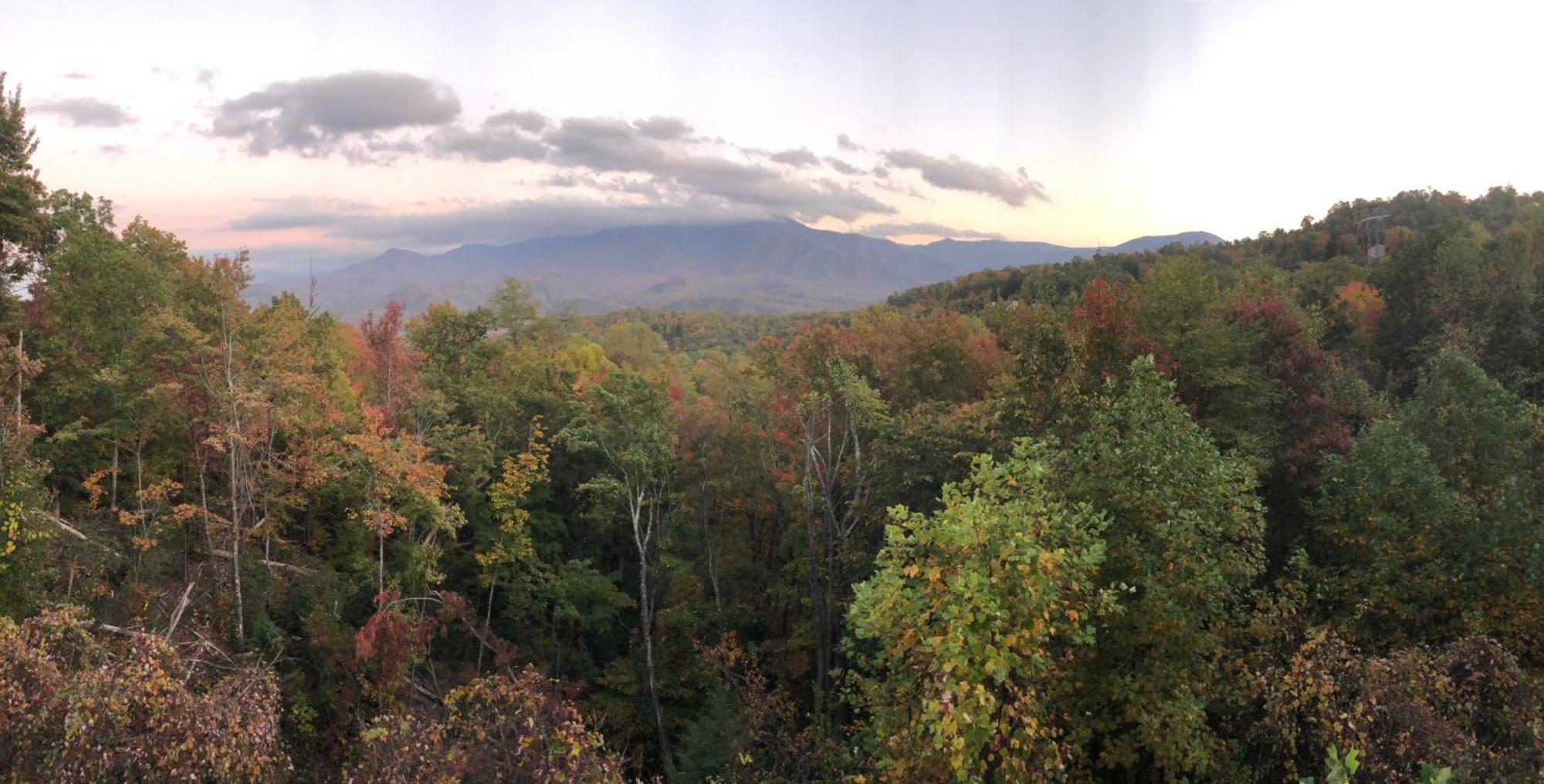 Heavenly View - Bear Themed Cabin, Hottub, Dog-Friendly, Near ガトリンバーグ エクステリア 写真